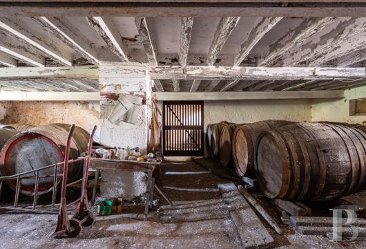 chateaux a vendre centre val de loire   - 20